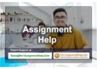 Assignment Help - Get professional services from No1AssignmentHelp.Com