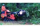 Griffin Solutions - Tree Removal Service in Mississippi