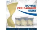 Bovine Pericardium Patch