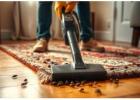 How to Get Rid of Carpet Beetles and Protect Your Home