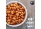 Premium Big Baked Beans – Organic & Nutrient-Rich | Royal Agri