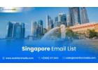 Purchase a Verified Singapore Email List by Revenue Size