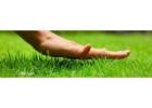 Boost Your Lawn’s Health with Expert Fertilization Services by My Guy Pest and Lawn