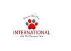 International Pet Transport