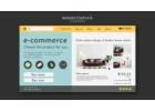 Best Ecommerce Website Design Services