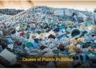 Fighting Plastic Pollution: What You Can Do Today