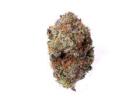 Buy Death Cookies Strain Online in Canada