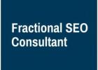 Fractional SEO Consultant