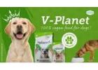 Vegetarian Dog Food Dubai