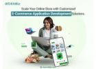 eCommerce Application Development Services