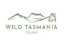 Tasmania 4 Day Tour: Top Sights and Activities