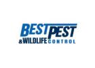 Best Pest & Wildlife Control