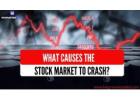 Why Does the Stock Market Fall