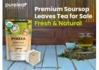 Premium Soursop Leaves Tea for Sale - Fresh & Natural