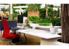 Breathe Life Into Your Space with Indoor Plants Melbourne