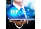 Advanced ERP Software for Streamlined Paper Industry Operations