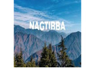 Book Nag Tibba Trek
