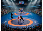 Buy Online Wrestling Mats: Sizes & Prices | Gravolite