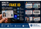 How to Spot a Fake ID Quickly and Accurately?