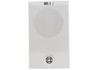 Professional Wall Mount Speaker Trader for Clear Audio Solutions