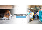 Emergency Veterinary Hospital in Gurgaon  | CGS Hospital