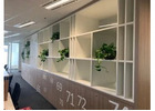 Indoor Plants Melbourne – Premium Plants for Offices & Homes