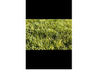 Best Artificial Grass Perth for Beautiful Outdoor Spaces