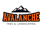 Avalanche Tree and Landscaping LLC