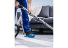 D&G Carpet Cleaning: Professional Cleaning Carpet Company Services