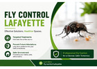 Fly Control Lafayette: Keep Your Home Pest-Free