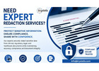 Need Expert Redaction Services?