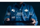 South Florida Marketing Agency – Roar Media