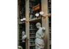 Cabinet d'avocats Aci