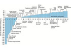 world energy consumption