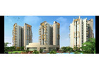 Flats for Rent in Noida Extension – Smart Living
