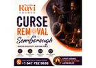 Trusted Curse Removal in Scarborough