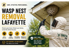 Wasp Nest Removal Lafayette: Keep Your Property Safe