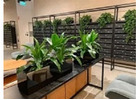 Plant Pots Melbourne – Stylish Pots for Every Space