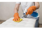 Get fast-tracked services and zero chemical use with Carpet Dry Cleaning Adelaide