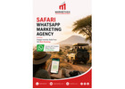 Grow Your Safari Business with WhatsApp Marketing Agency
