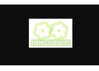 Graduation Flowers Melbourne | Same Day Flower Delivery