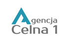 Eksport Odprawa Celna Celna: Profesjonalna Obsługa Online dla Firm