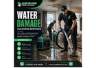 Best Water Damage Clean-Up Services in Natick Today