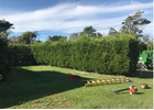 Lawn Installation Sydney - Northern Beaches Garden & Trees