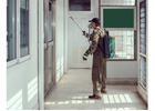 Trusted Pest Control Company Dublin for Reliable Pest Solutions