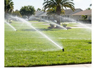 Tailored Irrigation Planning Support for Diverse Landscape Projects
