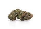Buy Master Kush Weed Strain Online in Canada