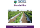 Mulch Film Designed for Improved Crop Protection