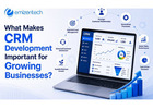 What Makes CRM Development Important for Growing Businesses?