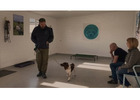 Professional Reactive Dog Training in Wirral Area